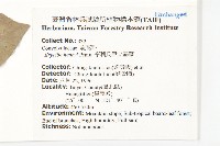 亨利氏伊立基藤藏品圖，第2張