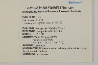 雷公藤藏品圖，第2張