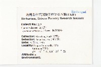 番仔藤藏品圖，第2張