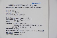 臺灣糊樗藏品圖，第2張