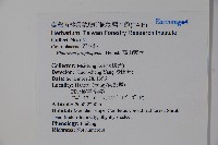 高山莢迷藏品圖，第2張