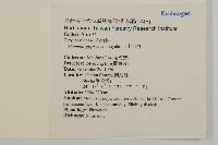 玉山石竹藏品圖，第2張