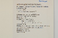 高山艾藏品圖，第2張