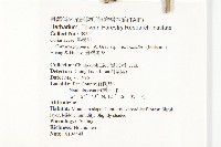 臺灣馬桑藏品圖，第2張