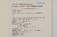 鬼針舅藏品圖，第2張