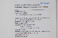 羊角藤、武靴藤藏品圖，第2張