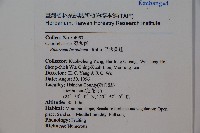 呂宋莢迷藏品圖，第2張