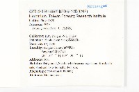 長柄菊藏品圖，第2張