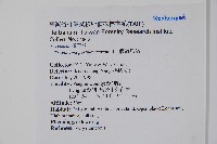 假海馬齒藏品圖，第2張