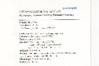 小燈籠草、大還魂藏品圖，第2張