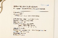 蔓澤蘭藏品圖，第2張