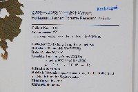 多子漿果莧藏品圖，第2張