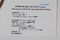 山檨子藏品圖，第2張