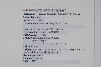 臺灣小蘗藏品圖，第2張