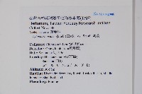 鷗蔓藏品圖，第2張