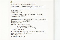 臺灣馬桑藏品圖，第2張