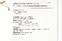 登錄號:S043422藏品圖，第2張