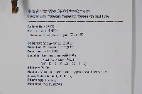 登錄號:S043438藏品圖，第2張