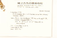 小蔓黃菀藏品圖，第2張