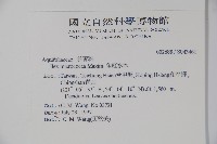 朱紅水木藏品圖，第2張