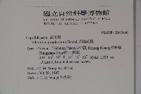 高山莢迷藏品圖，第2張