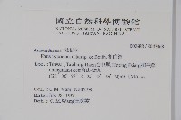 裡白漆藏品圖，第2張