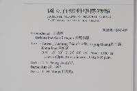 臺灣小蘗藏品圖，第2張