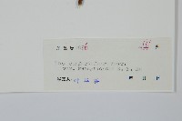 登錄號:S043553藏品圖，第2張