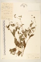 豨簽藏品圖，第1張