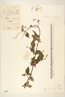 豨簽藏品圖，第1張