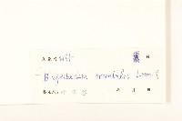 豨簽藏品圖，第3張