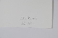 登錄號:S043602藏品圖，第2張