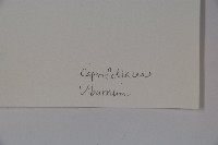 登錄號:S043609藏品圖，第2張