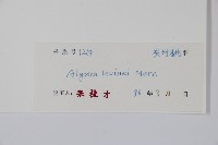 筋藤藏品圖，第2張
