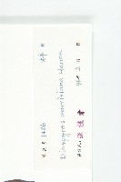 山紅柿藏品圖，第3張