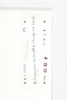 軟毛柿藏品圖，第3張