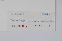 野漆、木臘樹藏品圖，第2張