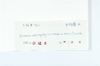 紅葉藤藏品圖，第3張