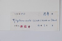 鷗蔓藏品圖，第2張