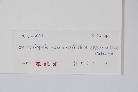 顯脈羅傘藏品圖，第2張