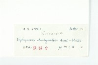 馬蹄參藏品圖，第3張