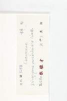 楓港柿藏品圖，第3張