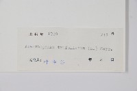 三葉五加、三加皮藏品圖，第2張