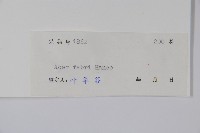 紅翅槭藏品圖，第2張