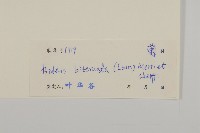 鬼針舅藏品圖，第3張