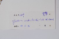 鷗蔓藏品圖，第2張