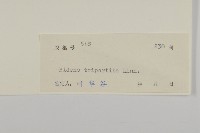 狼把草藏品圖，第3張