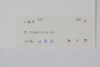 登錄號:S044086藏品圖，第2張