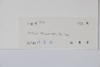 臺灣糯米條藏品圖，第2張