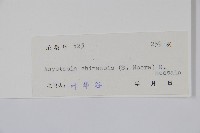 白接骨藏品圖，第2張